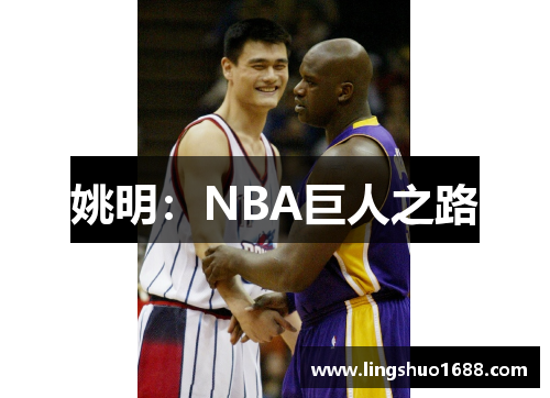 姚明：NBA巨人之路